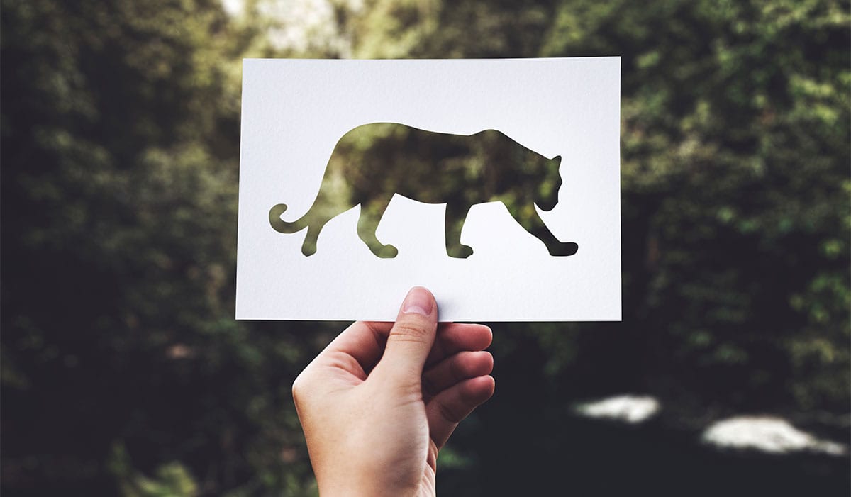 hand raising up a paper cut out tiger with the trees or forest as background