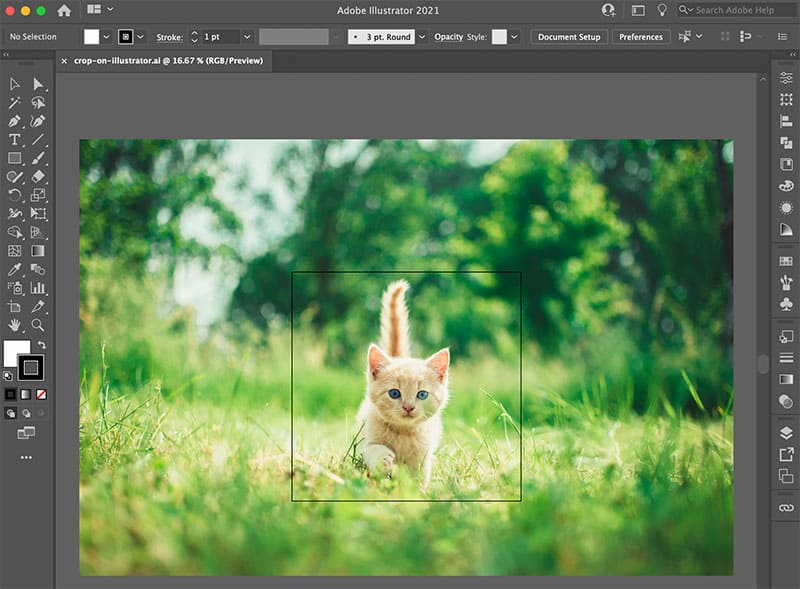 How Crop an Image Adobe Illustrator in 3 ways